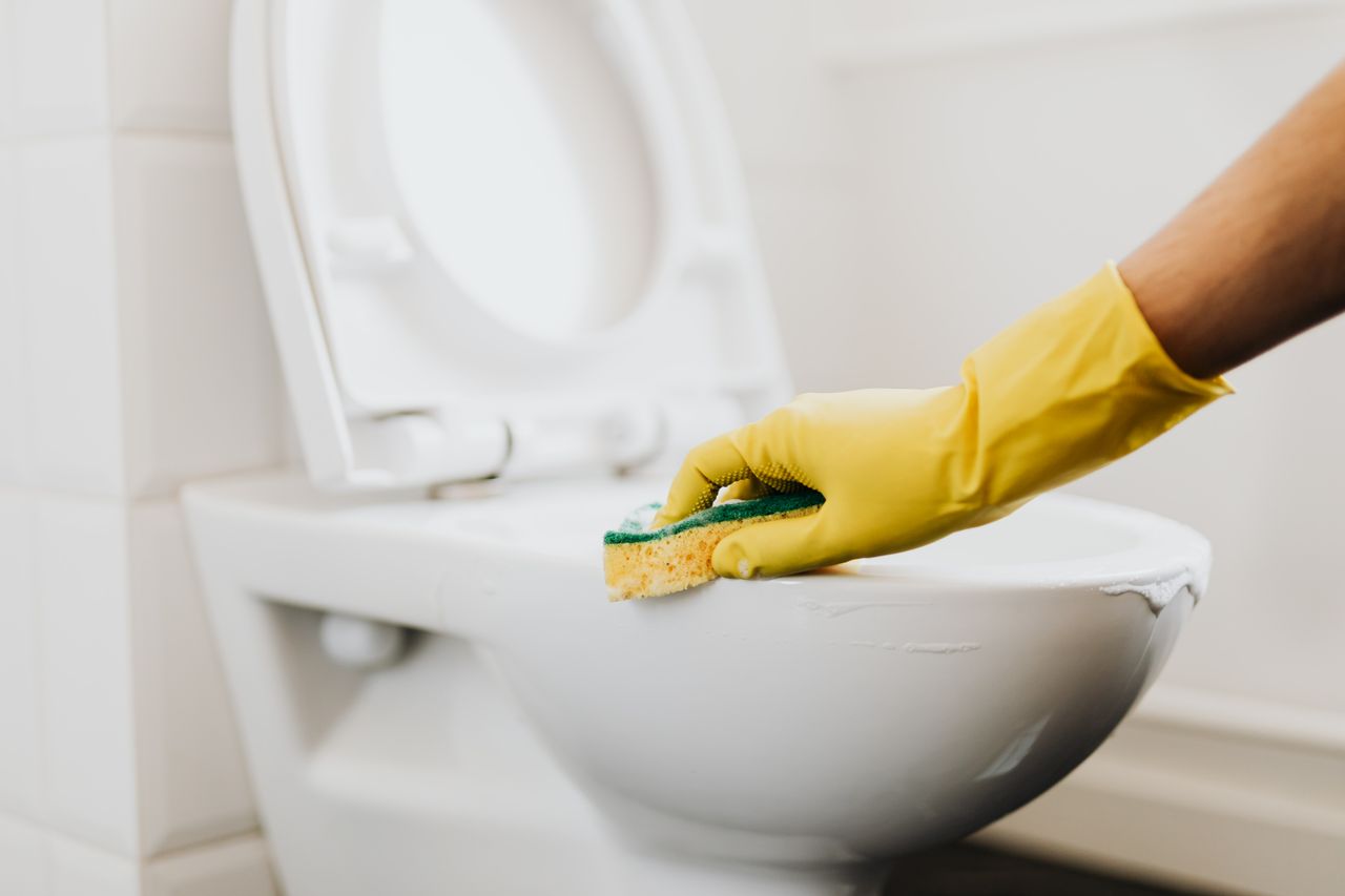 Crop anonymous person in yellow gloves cleaning white toilet rim with detergent and sponge in bathroom
